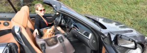 Tami Seat-Box für den kleinen Hund